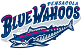 Pensacola Blue Wahoos Jobs In Sports Profile Picture