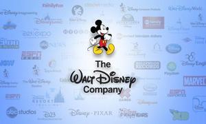 The Walt Disney Company Jobs In Sports Profile Picture
