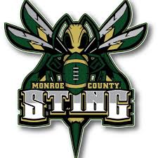 Monroe County Sting Logo