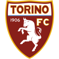 Torino For Disabled Football Club Logo