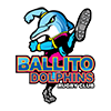 Ballito Dolphins Logo
