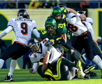 Courtney Miller's Jobs In Sports Profile Picture