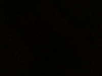 joe vere's Jobs In Sports Profile Picture