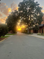 Kendall Townsend's Jobs In Sports Profile Picture