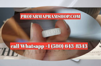 carlos king's Jobs In Sports Profile Picture