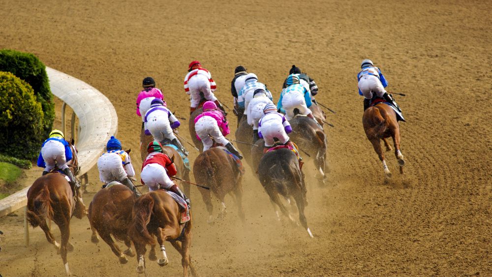 Top 15 Kentucky Derby Jobs You Should Be Aware Of