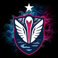 South Georgia Tormenta FC Logo