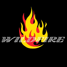 Wildfire Gymnastics Logo