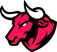North Texas Bulls Logo
