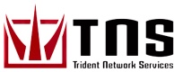 Trident Media Group Logo