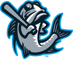 Tampa Tarpons Jobs In Sports Profile Picture
