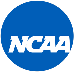 NCAA PlayStation Fiesta Bowl Logo