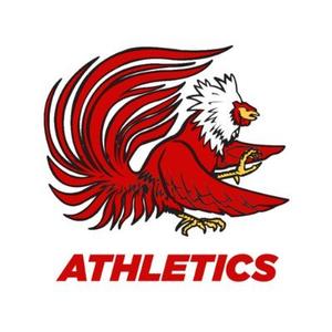 JSU Volleyball Team Logo