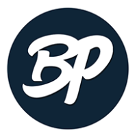 Bronx Pinstripes Logo