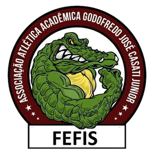 FEFIS UNIMES Logo