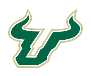 University of South Florida